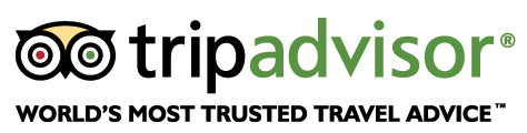 Trip advisor logo